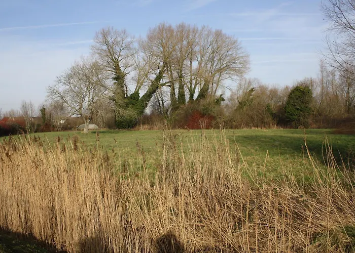 Camping Mobil-home Côté